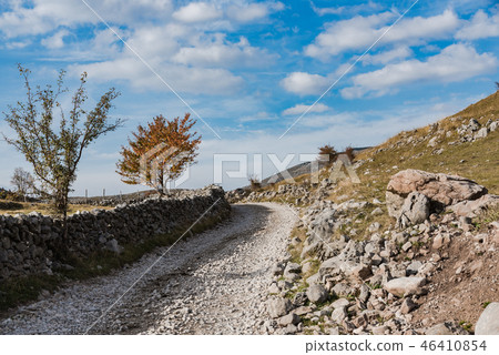 Remote rural road trough traditional pasture Remote rural road trough traditional pasture 46410854