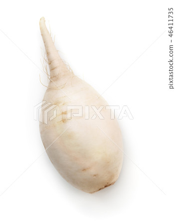 Top view of fresh daikon radish 46411735