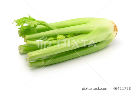 Fresh celery Fresh celery 46411738