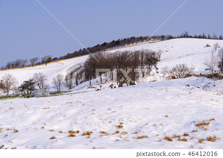 Sheep Ranch, Daegwallyeong, Pyeongchang-gun, Gangwon-do Sheep Ranch, Daegwallyeong, Pyeongchang-gun, Gangwon-do 46412016