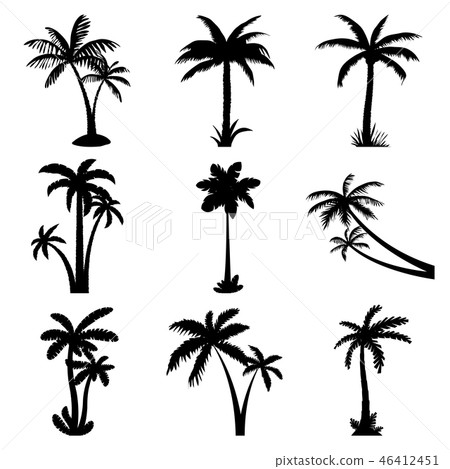 Tropical palm trees set Tropical palm trees set 46412451