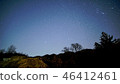 Winter star 46412461
