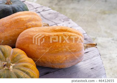 pumpkin pumpkin 46412655