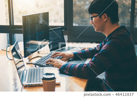 Professional Development programmer working in programming websi 46412837