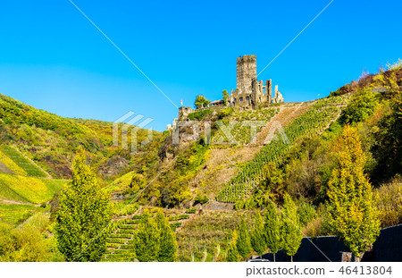 View of Metternich Castle at Beilstein in Germany View of Metternich Castle at Beilstein in Germany 46413804
