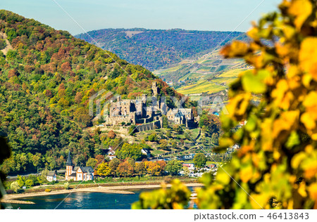 Reichenstein Castle in the Rhine Gorge, Germany Reichenstein Castle in the Rhine Gorge, Germany 46413843