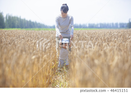 走在麥田的父母和孩子 走在麥田的父母和孩子 46415151