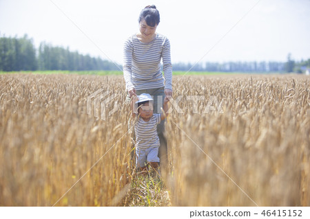 走在麥田的父母和孩子 走在麥田的父母和孩子 46415152