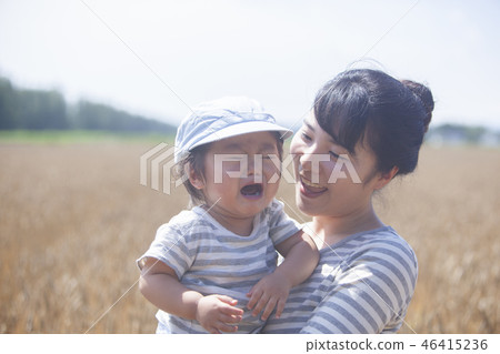 Parent and child of wheat field 46415236
