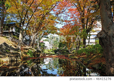 Morioka Castle Ruins Park (Iwate Park), autumn leaves and Tsurugaike 46415276