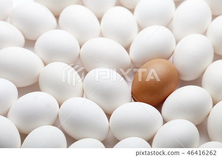 雞蛋 46416262