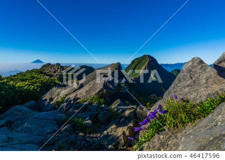 Yatsugatake ridge line, Mt. Fuji and alpine plants Yatsugatake ridge line, Mt. Fuji and alpine plants 46417596