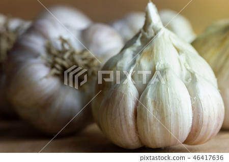 Garlic placed on wood table with morning sunlight. Garlic placed on wood table with morning sunlight. 46417636