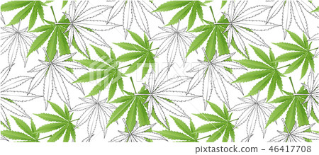 Marijuana leaves seamless vector pattern. Marijuana leaves seamless vector pattern. 46417708