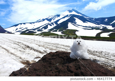 雪山和雪達摩和藍天 46417774