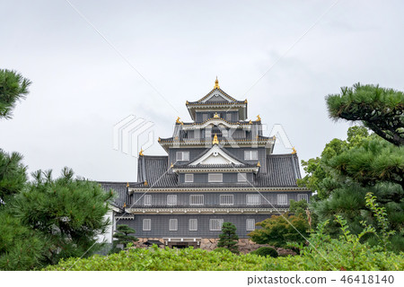 岡山城堡城堡塔 46418140