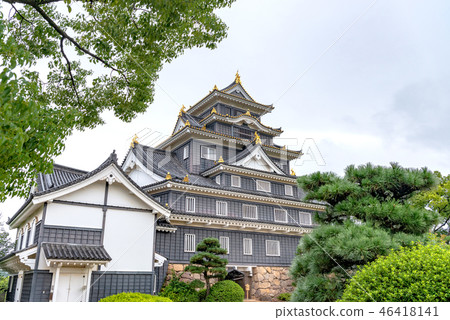 岡山城堡城堡塔 46418141