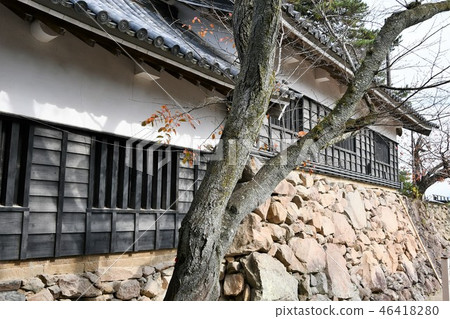 秋天松江城堡城堡鎮 秋天松江城堡城堡鎮 46418280