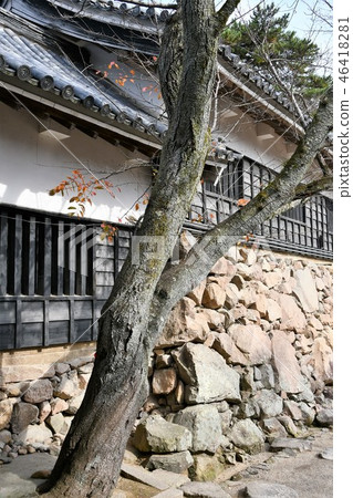 秋天松江城堡城堡鎮 秋天松江城堡城堡鎮 46418281