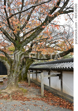 秋天松江城堡城堡鎮 46418300