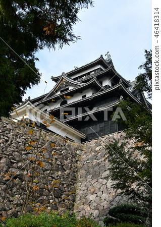 Autumn Matsue Castle Castle Town 46418314