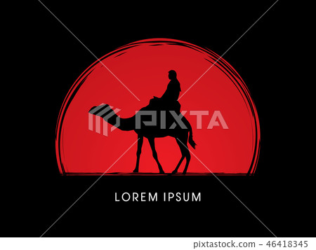Cameleer with camels graphic vector 46418345