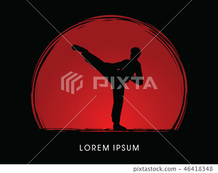 Kung Fu pose graphic vector 46418348
