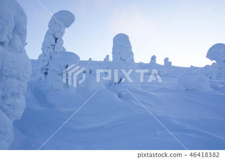 Beautiful forest in snow Beautiful forest in snow 46418382