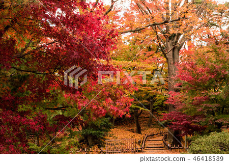 Fall of Kenrokuen Fall of Kenrokuen 46418589