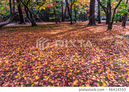Fall of Kenrokuen 46418593