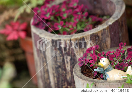 Princess Clover 46419428