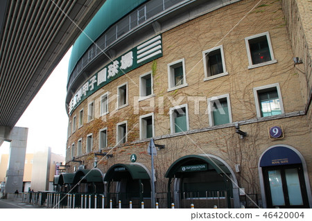 Hanshin Koshien stadium 46420004