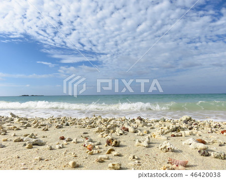 Toyosaki Chura SUN Beach 46420038