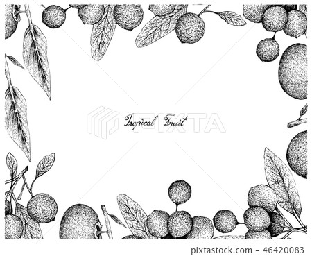 Hand Drawn Frame of Gold Apple and Hanza Fruits 46420083
