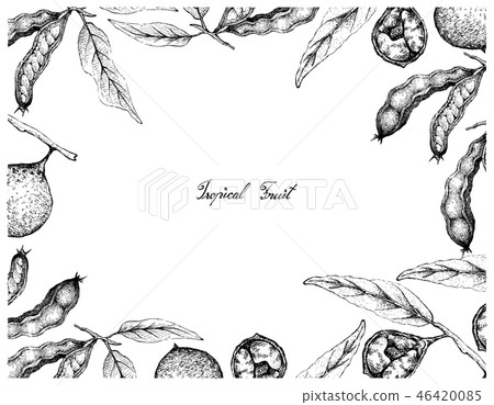 Hand Drawn Frame of Ice Cream Beans and Ivru Wood  46420085