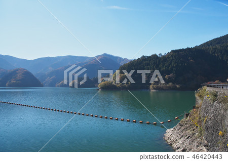 秋葉奧多摩湖 秋葉奧多摩湖 46420443