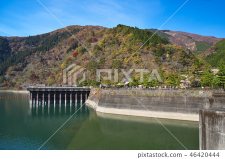 秋葉奧多摩湖 46420444