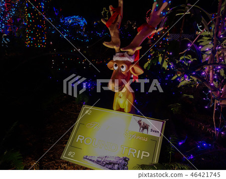Cute reindeer found by Christmas illumination Cute reindeer found by Christmas illumination 46421745