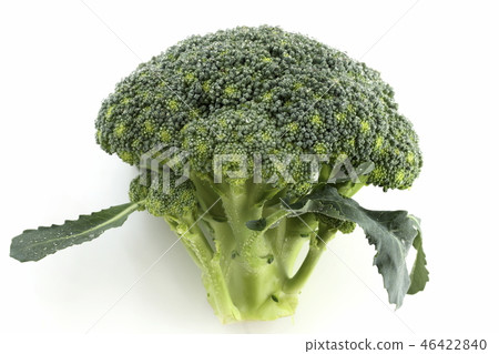 broccoli broccoli 46422840
