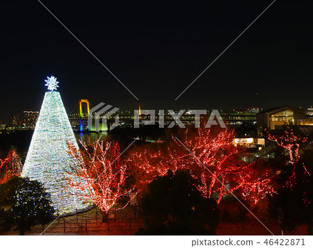 Night view of Odaiba where you can see the illumination of the Christmas tree and the Rainbow Bridge 46422871