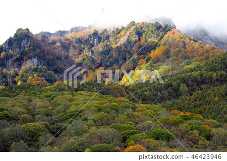 Autumn leaves of Kagami pond 05 Autumn leaves of Kagami pond 05 46423946