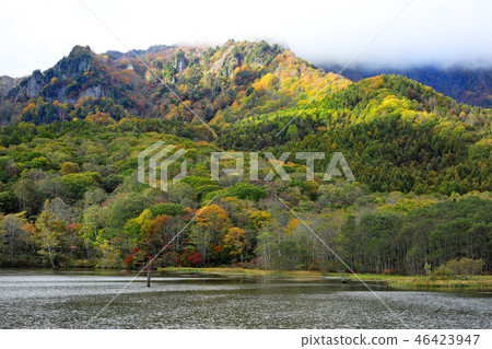 Autumn leaves of Kagami pond 06 Autumn leaves of Kagami pond 06 46423947