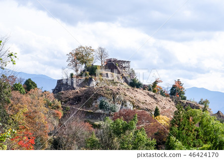 Saplings Castle Ruins 46424170