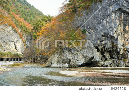 Autumn leaves of Iwaizumi 46424528
