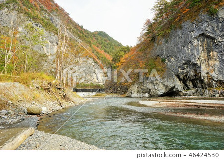 Iwaizumi秋葉 46424530