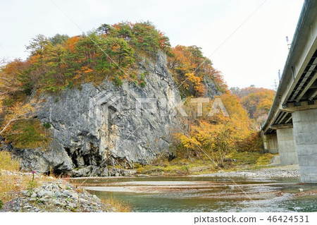 Iwaizumi秋葉 46424531