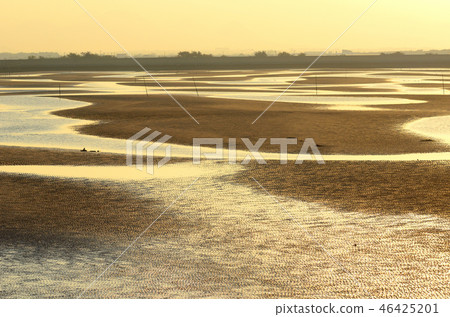 Masutama coast 46425201