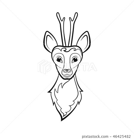 Head of a roe deer. 46425482