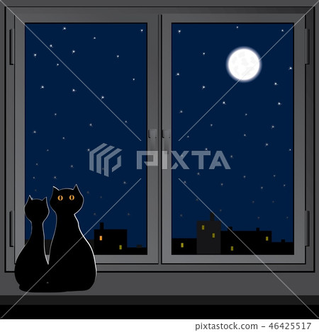 Two cats sit and look at the night city. 46425517