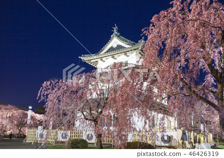 弘前城堡3在晚上 弘前城堡3在晚上 46426319